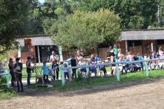 Fête du Cheval 2015