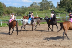 Fête du Cheval 2015