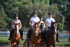 Fête du Cheval 2015