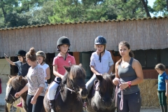 Fête du Cheval 2015