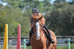 Fête du Cheval 2015