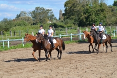 Fête du Cheval 2015