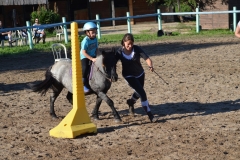 Fête du Cheval 2015