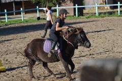 Fête du Cheval 2015