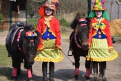 concours de carroussels 2