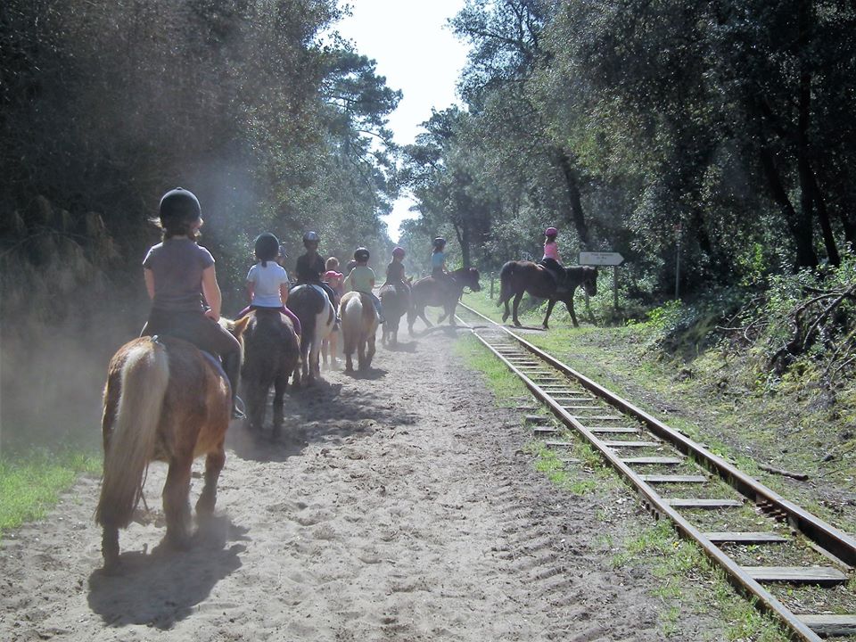 randonnée à poneys