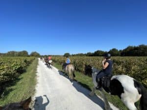 Randonnée itinérante, le tour de l'ile d'Oléron à cheval en 4 jours